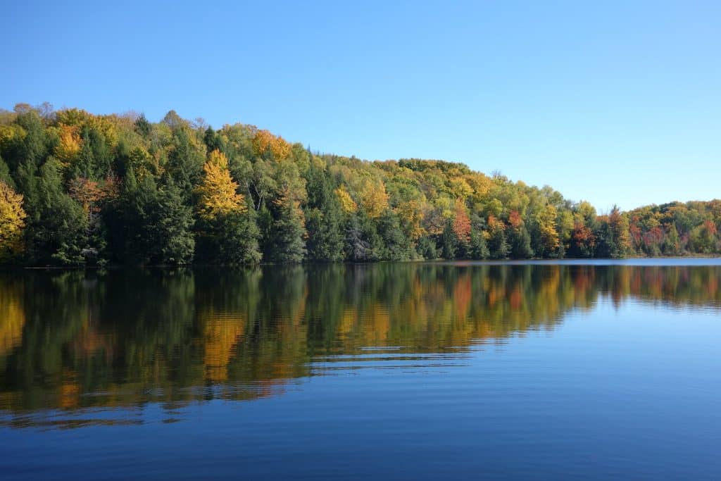 camping met visvijver dordogne