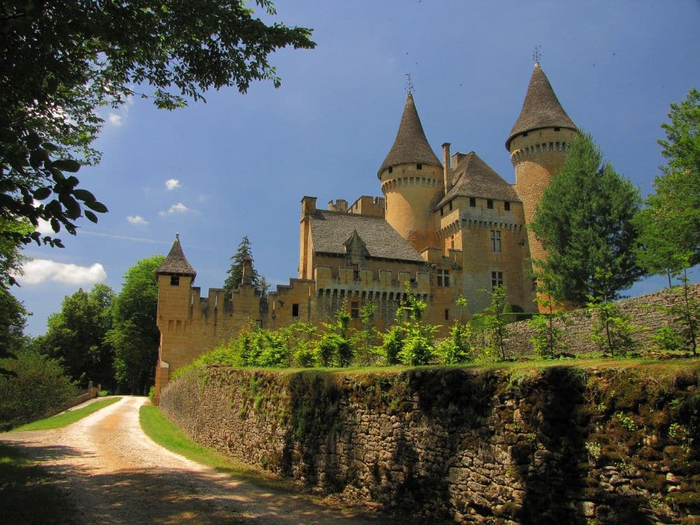 chateau de puymartin perigord noir
