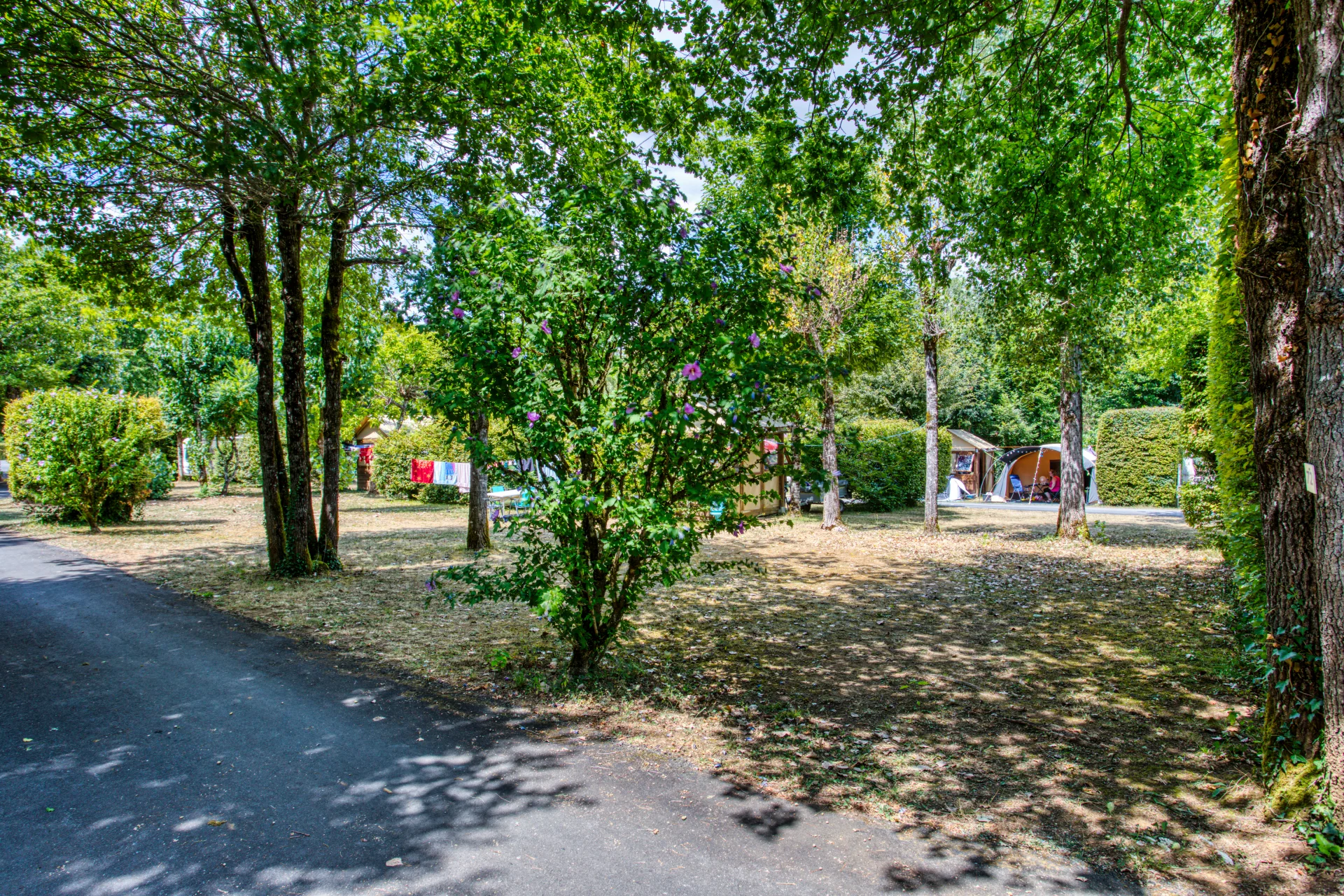 emplacement simple camping